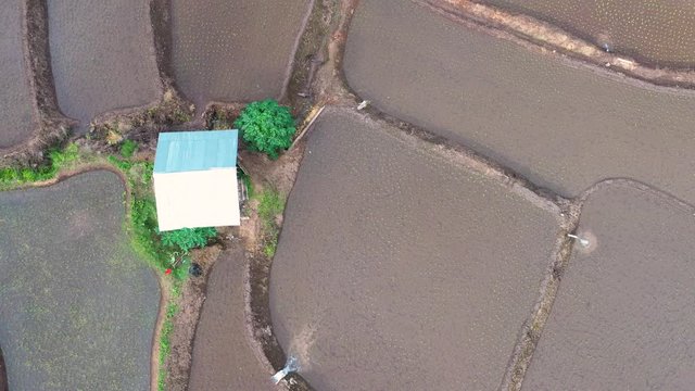 Aerial view of agriculture lands in Doi Inthanon national park, Thailand. 