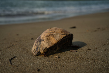 Eine gestrandete Kokosnuss am einsamen Strand von Panama auf der Karibikseite mit Fokus auf den Vordergrund und das Meer im Hintergrund.