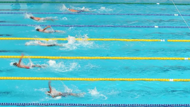 Bangkok ,Thailand - FEBRUARY 10,2020 : Men backstroke swimming competition during Martin Cup 2020 in the swimming pool of Assumption University Bangna