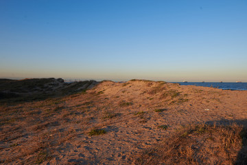 Fototapeta na wymiar dunes al sol