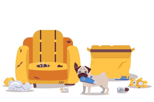 Dog alone at home destroys room furniture vector illustration. Naughty puppy causes mess in apartment, torn armchair, broken items on floor. Dog pet indoor, animal bad behavior, cartoon style design