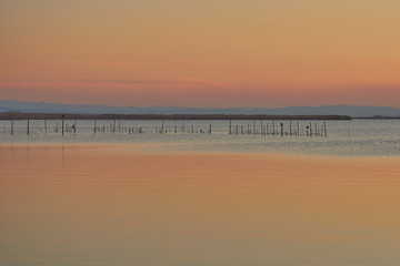 albufera21