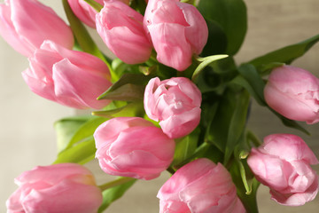 Beautiful pink tulips with green leaves, close up