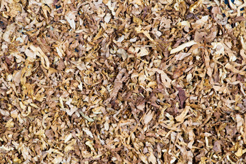 Closeup background of brown dry tobacco, smoking concept