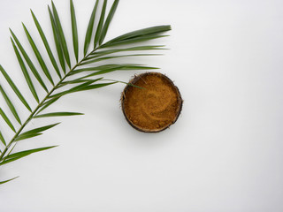 coconut sugar in a bowl of coconut and a sprig of palm on a white background