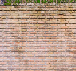 Surface of old brick wall spotted with moss. the vintage wall for abstract background.