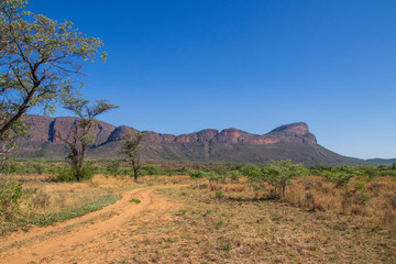African Savanna Landscape, Natural Park