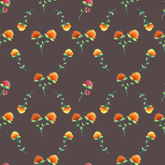 Fototapeta na wymiar Seamless floral pattern. Wildflowers on a brown background. Botanical illustration. Trifolium flowers. Design for packaging, fabric, textile, wallpaper, website, cards.