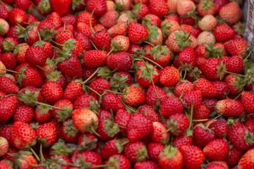 Strawberry in market stand. Thailand fruit.