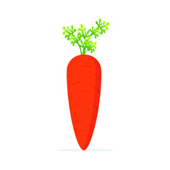Carrot Vector Illustration with flat cartoon design, isolated on a white background