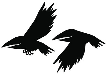 Flying Crow Wings Silhouette Cartoon