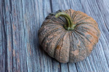 Pumpkin on the wooden background.