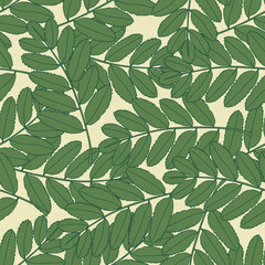 Seamless pattern with outline green leaves. Botanical wallpaper. Summer vintage leaf.