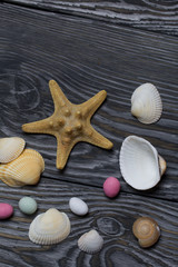 Starfish, pebbles and many different seashells. On brushed pine boards painted in black and white.