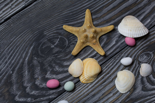 Starfish, pebbles and many different seashells. On brushed pine boards painted in black and white.