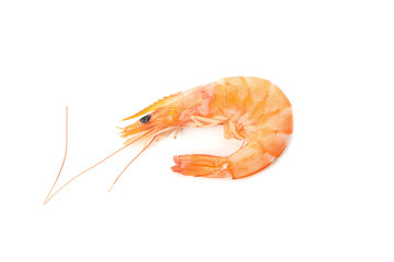 Delicious shrimp isolated on white background. Seafood