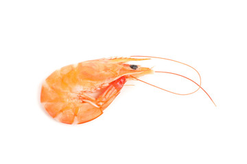 Delicious shrimp isolated on white background. Seafood