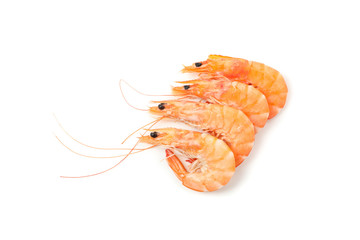 Delicious shrimps isolated on white background. Seafood