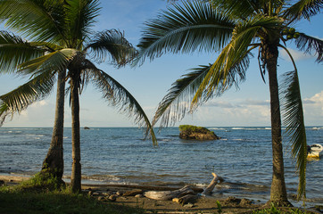 Plakat Irgendwo im Nirgendwo am einsamen Strand auf der Karibikseite in Panama mit dunklem Sand und Kokospalmen, Fernweh ruft