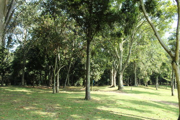 Fototapeta na wymiar Parque Simon Bolivar Bogota Colombia