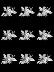 Seamless white floral pattern on a black background. Abstract twig of blooming Plumeria with white flowers on a monochrome background. Printing on fabric, bedding.