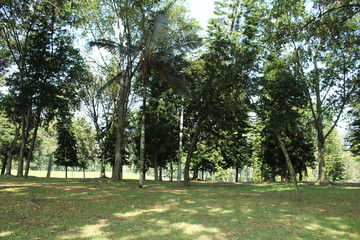 Fototapeta na wymiar Parque Simon Bolivar Bogota Colombia