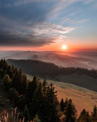 Eveil flamboyant n°6