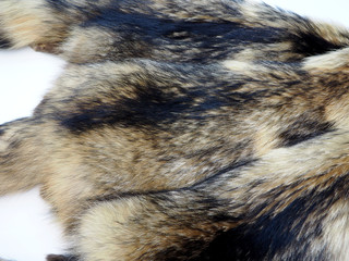 skins of natural long-pile fur