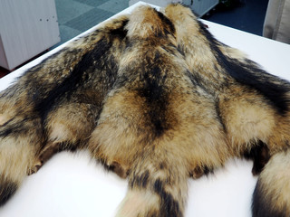 skins of natural long-pile fur