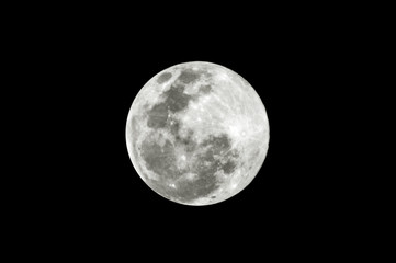 luna llena, luna de lobo, moon wolf