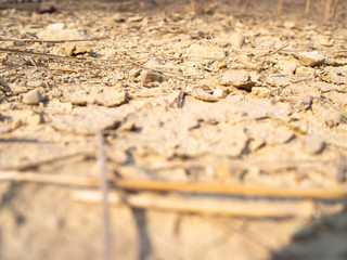  dry cracked ground. climate change and global warming crisis.