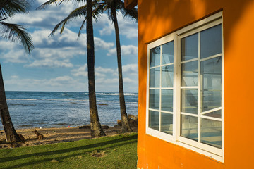 Am menschenleeren Strand in Panama mit orangenem Karibikhaus und spielenden Hunden im Sand, im Hintergrund das Meer und Palmen