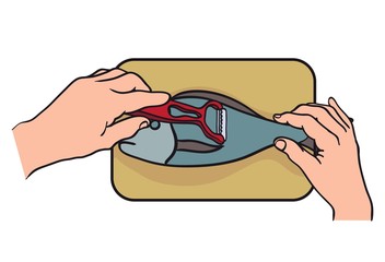 fish cooking process. natural products. color illustration