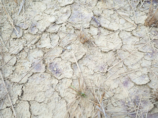  dry cracked ground. climate change and global warming crisis.