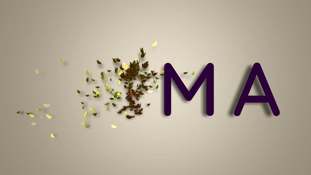 Name is Emma. The female name on a light background disappears flying in butterflies. Minimal graphics. 4k