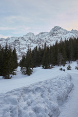 family walking in snowy mountain