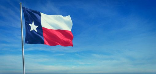 Fototapeta na wymiar The flag of Texas state USA
