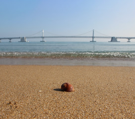 a Rubber Shell Gwangalli Beach, Busan, South Korea, Asia