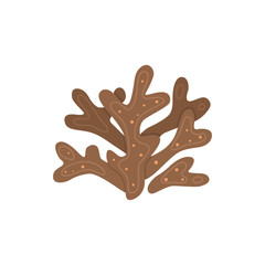Vector seaweed icon isolated on whire. Sea underwater marine plant.