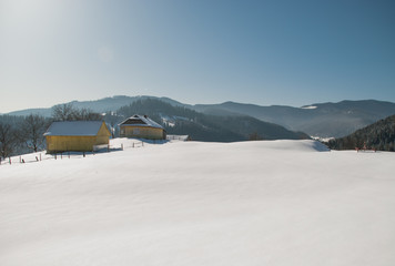 Highland village in winter Carpathians. Ukraine.