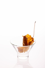 Dry yellow leaf in a glass bowl over white