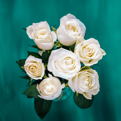 white roses flat lay on a classic blue background