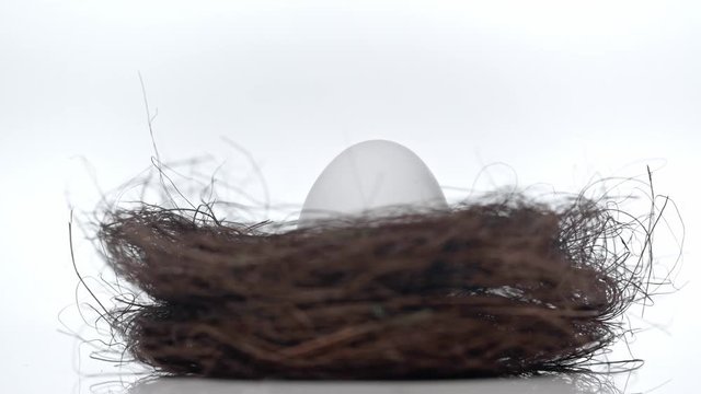 spinning nest with egg on white