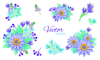 Set of botanic elements with wild flowers, leaves. Floral poster, invite. Vector layout decorative greeting card or invitation design background. Vector illustration on isolated background