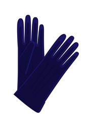 Obraz premium Vector Cartoon illustration - Navy Blue Leather Classic Gloves