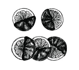Chocolate covered orange fruit in line art style.