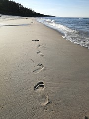 beaches on the Baltic Sea