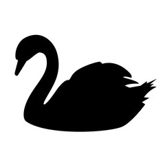 Black swan vector icon