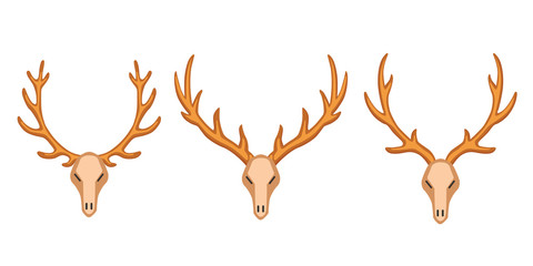 Different vector horns, horny hunting trophy illustration in cartoon style.