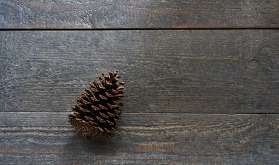 Wooden textured planks with a fir cone as background with copy space